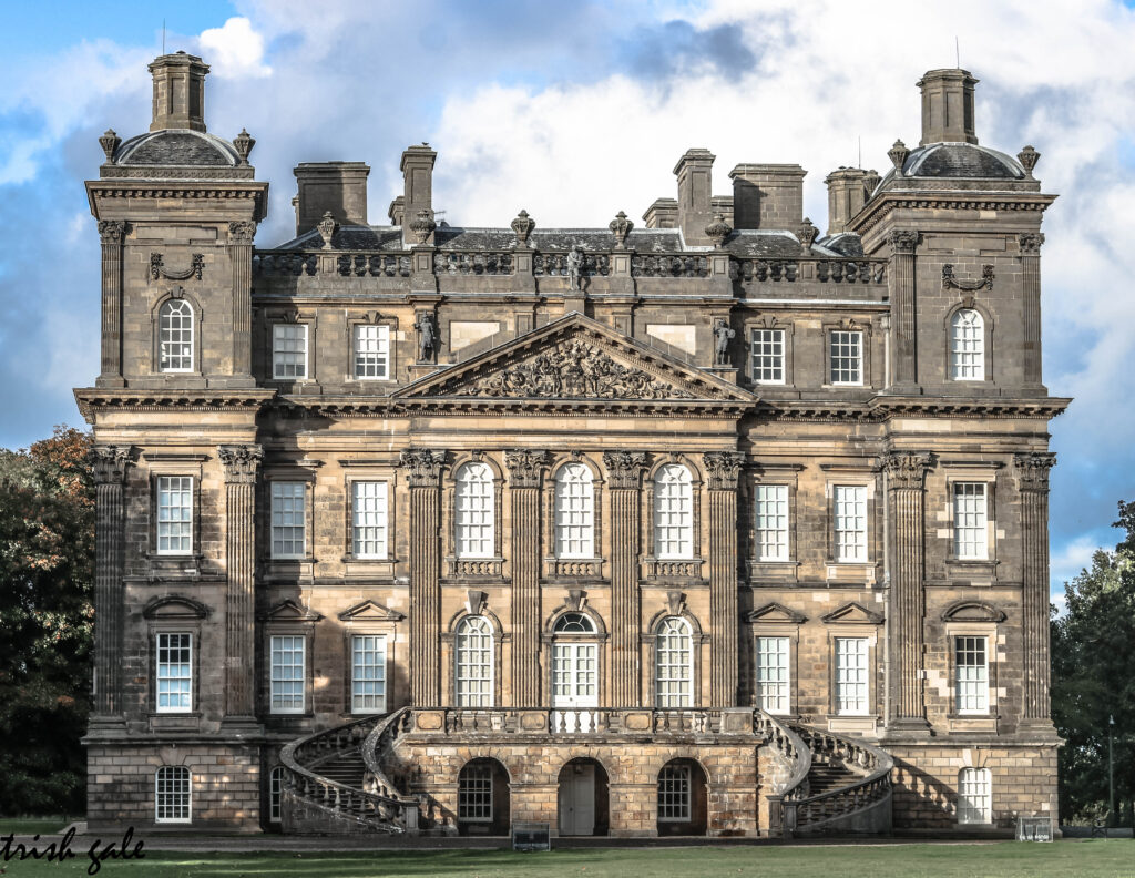 Credit - Trish Gale (6)